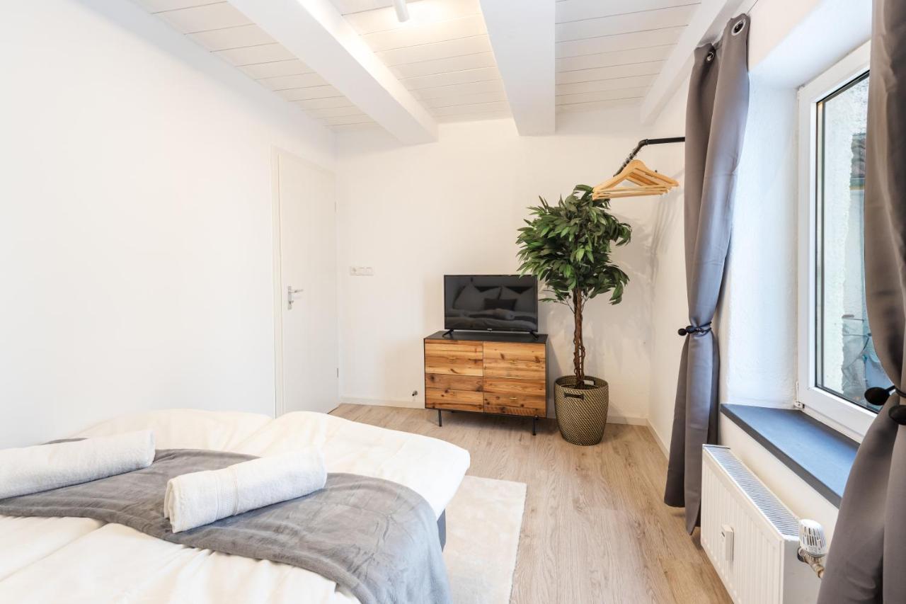 Terrace Apartment With 5 Rooms, Whirlpool And Bbq Augsburg Kültér fotó
